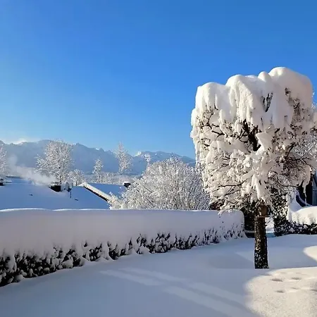 Geierstein
